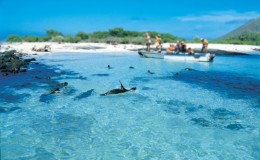 Islas Galápagos