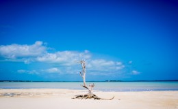 Harbour Island