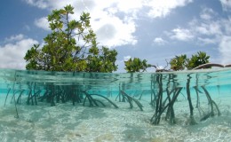 Inagua