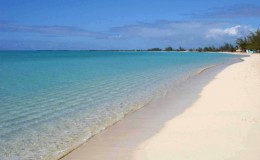 The Bight