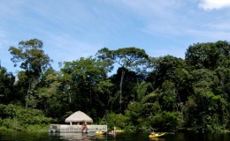 Alta Floresta