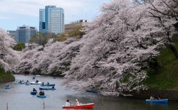 Tokyo
