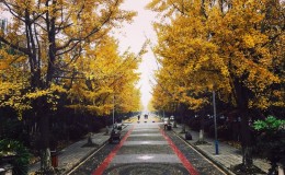 Chengdu