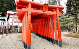 Gifu