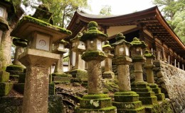 Nara City