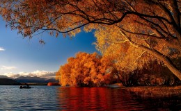 Lake Tekapo