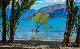 Wanaka