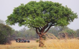 Sudáfrica