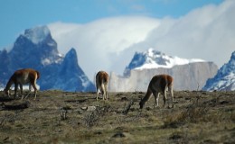 Chile