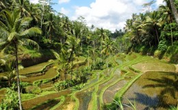 Indonesia