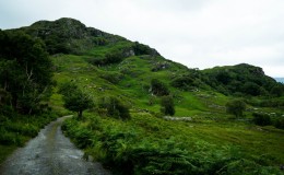 Irlanda