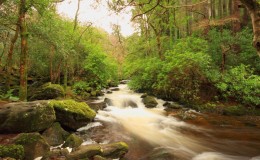 Irlanda