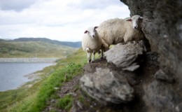 Noruega