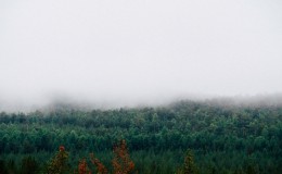 Noruega
